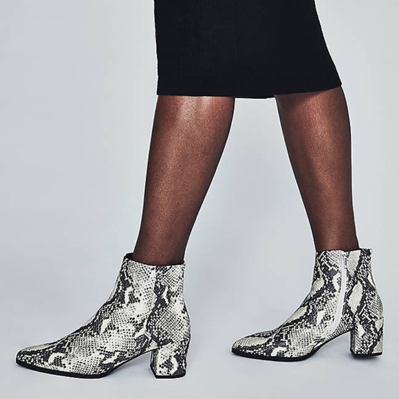 Madden Girl Shoes - Madden Girl Snake Dafni Boots